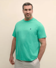 Big & Tall Cotton Jersey T-Shirt